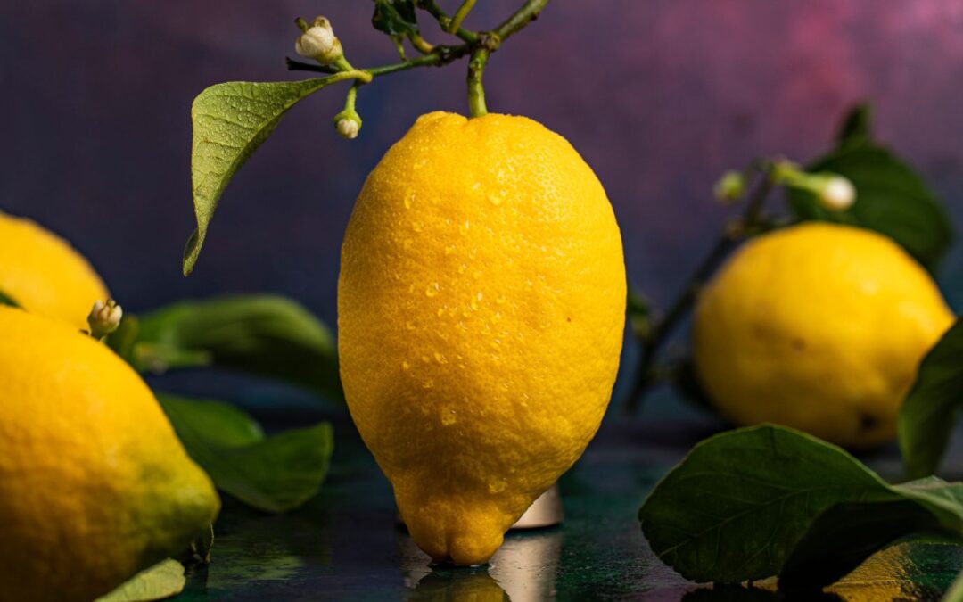 Cytryny z Amalfi słodko-kwaśne cuda natury